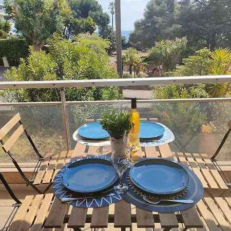 Appartement, 2 Pieces ,residence Avec Piscine Cannes