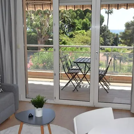 Appartement, 2 Pieces ,residence Avec Piscine Cannes